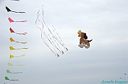 RIMINI 2012 - 098